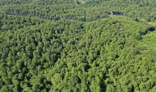 Photo of UNDER CONTRACT!!  156 Acres of Hunting and Recreation Land for Sale in Franklin County VA!