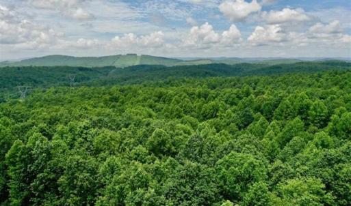 Photo of UNDER CONTRACT!!  156 Acres of Hunting and Recreation Land for Sale in Franklin County VA!
