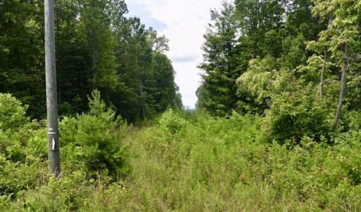 Photo of UNDER CONTRACT!!  156 Acres of Hunting and Recreation Land for Sale in Franklin County VA!