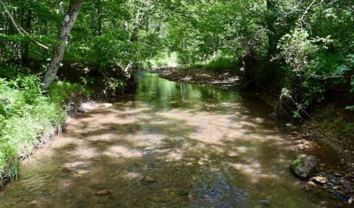 Photo of UNDER CONTRACT!!  156 Acres of Hunting and Recreation Land for Sale in Franklin County VA!
