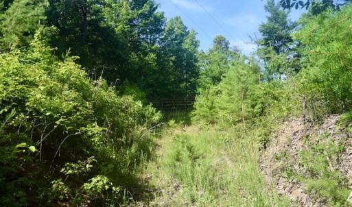 Photo of UNDER CONTRACT!!  156 Acres of Hunting and Recreation Land for Sale in Franklin County VA!