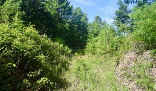 Photo of UNDER CONTRACT!!  156 Acres of Hunting and Recreation Land for Sale in Franklin County VA!