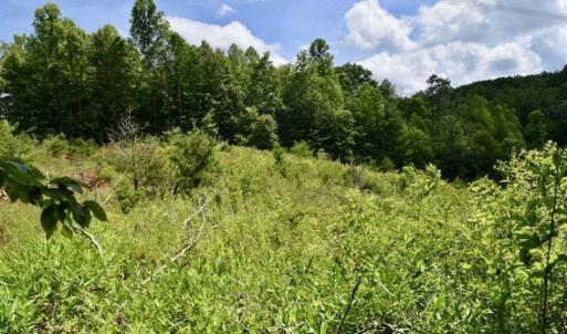Photo of UNDER CONTRACT!!  156 Acres of Hunting and Recreation Land for Sale in Franklin County VA!