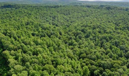 Photo of UNDER CONTRACT!!  156 Acres of Hunting and Recreation Land for Sale in Franklin County VA!