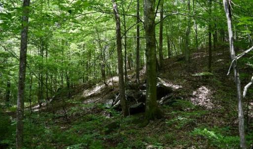 Photo of UNDER CONTRACT!!  156 Acres of Hunting and Recreation Land for Sale in Franklin County VA!