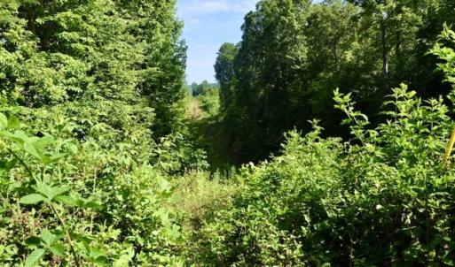 Photo of UNDER CONTRACT!!  156 Acres of Hunting and Recreation Land for Sale in Franklin County VA!