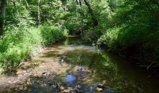 Photo of UNDER CONTRACT!!  156 Acres of Hunting and Recreation Land for Sale in Franklin County VA!