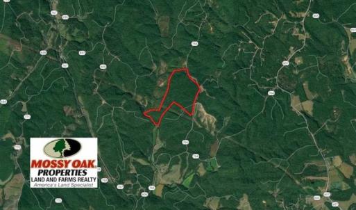 Photo of UNDER CONTRACT!!  156 Acres of Hunting and Recreation Land for Sale in Franklin County VA!