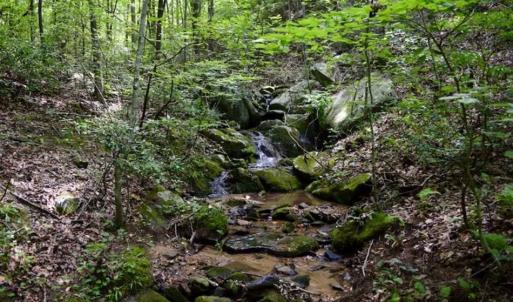 Photo of UNDER CONTRACT!!  156 Acres of Hunting and Recreation Land for Sale in Franklin County VA!