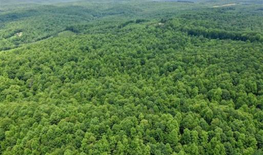 Photo of UNDER CONTRACT!!  156 Acres of Hunting and Recreation Land for Sale in Franklin County VA!