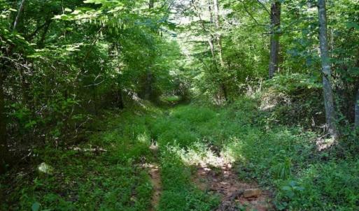 Photo of UNDER CONTRACT!!  156 Acres of Hunting and Recreation Land for Sale in Franklin County VA!