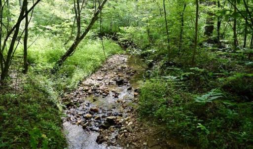 Photo of UNDER CONTRACT!!  156 Acres of Hunting and Recreation Land for Sale in Franklin County VA!