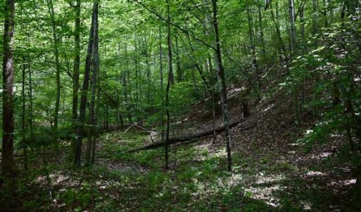 Photo of UNDER CONTRACT!!  156 Acres of Hunting and Recreation Land for Sale in Franklin County VA!