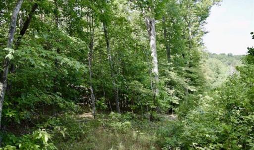 Photo of UNDER CONTRACT!!  156 Acres of Hunting and Recreation Land for Sale in Franklin County VA!