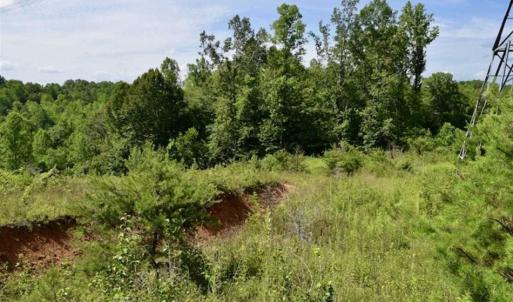 Photo of UNDER CONTRACT!!  156 Acres of Hunting and Recreation Land for Sale in Franklin County VA!