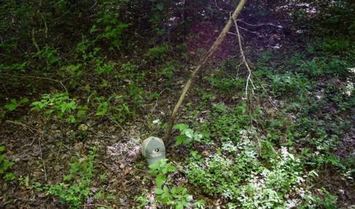 Photo of UNDER CONTRACT!!  156 Acres of Hunting and Recreation Land for Sale in Franklin County VA!