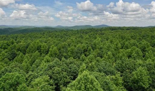 Photo of UNDER CONTRACT!!  156 Acres of Hunting and Recreation Land for Sale in Franklin County VA!