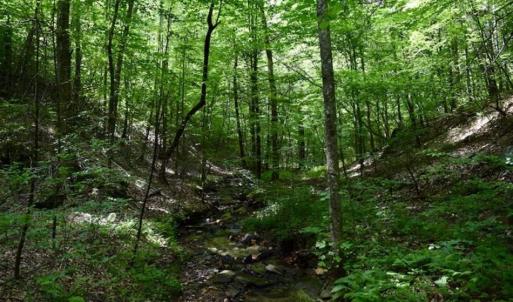 Photo of UNDER CONTRACT!!  156 Acres of Hunting and Recreation Land for Sale in Franklin County VA!