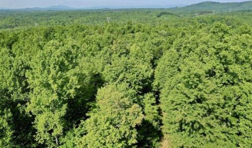 Photo of UNDER CONTRACT!!  156 Acres of Hunting and Recreation Land for Sale in Franklin County VA!