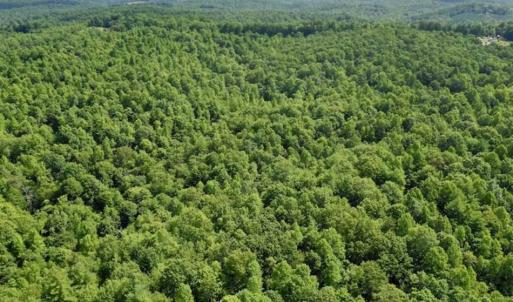 Photo of UNDER CONTRACT!!  156 Acres of Hunting and Recreation Land for Sale in Franklin County VA!