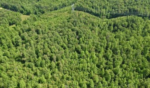 Photo of UNDER CONTRACT!!  156 Acres of Hunting and Recreation Land for Sale in Franklin County VA!