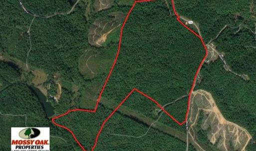 Photo of UNDER CONTRACT!!  156 Acres of Hunting and Recreation Land for Sale in Franklin County VA!
