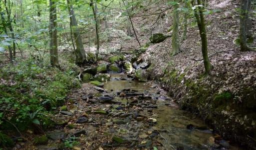 Photo of UNDER CONTRACT!!  156 Acres of Hunting and Recreation Land for Sale in Franklin County VA!