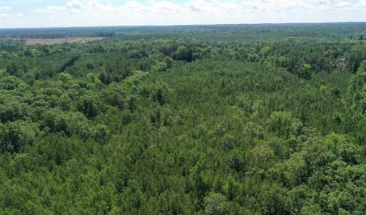Photo of SOLD!!  55.56 Acres of Residential Equestrian and Hunting Land in Moore County NC!