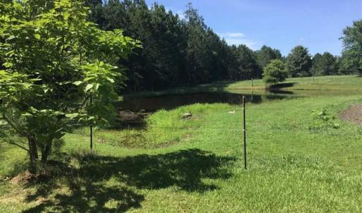 Photo of SOLD!!  55.56 Acres of Residential Equestrian and Hunting Land in Moore County NC!