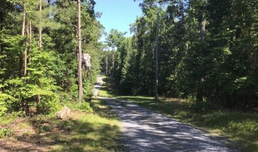 Photo of SOLD!!  55.56 Acres of Residential Equestrian and Hunting Land in Moore County NC!