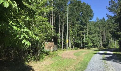 Photo of SOLD!!  55.56 Acres of Residential Equestrian and Hunting Land in Moore County NC!