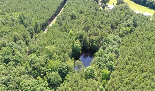 Photo of SOLD!!  55.56 Acres of Residential Equestrian and Hunting Land in Moore County NC!