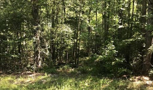 Photo of SOLD!!  55.56 Acres of Residential Equestrian and Hunting Land in Moore County NC!