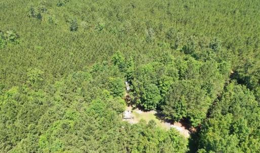 Photo of SOLD!!  55.56 Acres of Residential Equestrian and Hunting Land in Moore County NC!