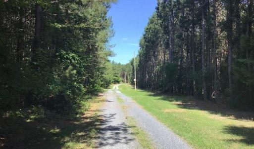 Photo of SOLD!!  55.56 Acres of Residential Equestrian and Hunting Land in Moore County NC!