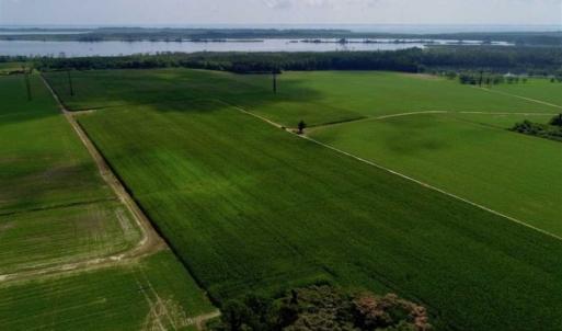 Photo of UNDER CONTRACT!!  98 Acres of Waterfront Farm and Development Land in Currituck County NC!