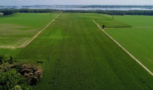 Photo of UNDER CONTRACT!!  98 Acres of Waterfront Farm and Development Land in Currituck County NC!