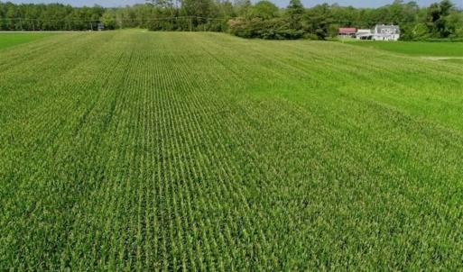 Photo of UNDER CONTRACT!!  98 Acres of Waterfront Farm and Development Land in Currituck County NC!