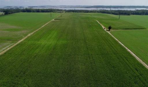Photo of UNDER CONTRACT!!  98 Acres of Waterfront Farm and Development Land in Currituck County NC!
