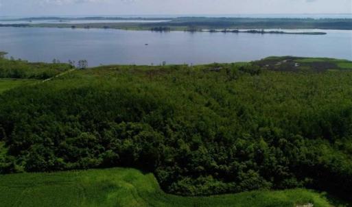 Photo of UNDER CONTRACT!!  98 Acres of Waterfront Farm and Development Land in Currituck County NC!