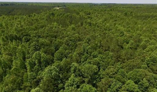 Photo of SOLD!!  37.3 Ac of Hunting and Recreational Land For Sale in Lunenburg County VA!