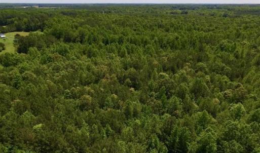 Photo of SOLD!!  37.3 Ac of Hunting and Recreational Land For Sale in Lunenburg County VA!