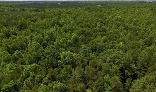 Photo of SOLD!!  37.3 Ac of Hunting and Recreational Land For Sale in Lunenburg County VA!
