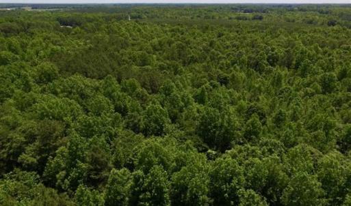 Photo of SOLD!!  37.3 Ac of Hunting and Recreational Land For Sale in Lunenburg County VA!