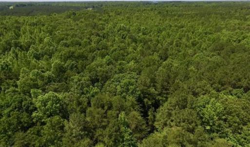 Photo of SOLD!!  37.3 Ac of Hunting and Recreational Land For Sale in Lunenburg County VA!