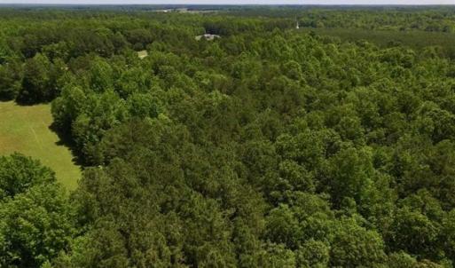 Photo of SOLD!!  37.3 Ac of Hunting and Recreational Land For Sale in Lunenburg County VA!