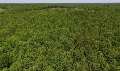 Photo of SOLD!!  37.3 Ac of Hunting and Recreational Land For Sale in Lunenburg County VA!