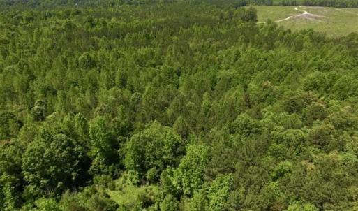 Photo of SOLD!!  37.3 Ac of Hunting and Recreational Land For Sale in Lunenburg County VA!