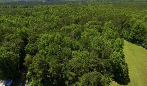 Photo of SOLD!!  37.3 Ac of Hunting and Recreational Land For Sale in Lunenburg County VA!