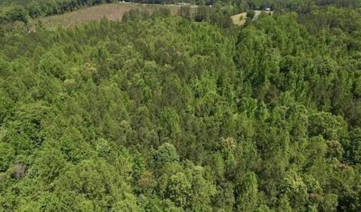 Photo of SOLD!!  37.3 Ac of Hunting and Recreational Land For Sale in Lunenburg County VA!